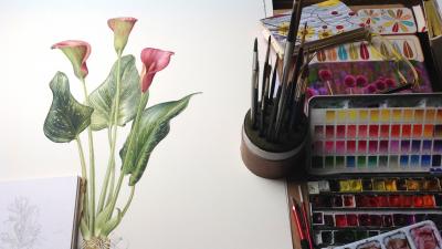 Botanical Painting